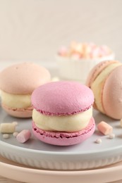 Delicious colorful macarons and marshmallows on plate, closeup