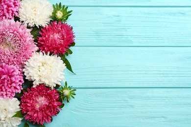 Photo of Beautiful asters and space for text on light blue wooden background, flat lay. Autumn flowers