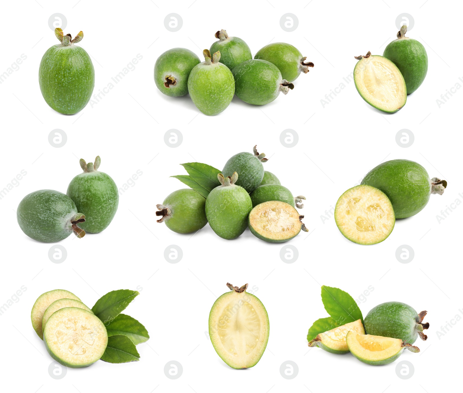 Image of Set of fresh ripe feijoas on white background