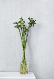 Photo of Vase with beautiful green bamboo stems on white bedside table indoors