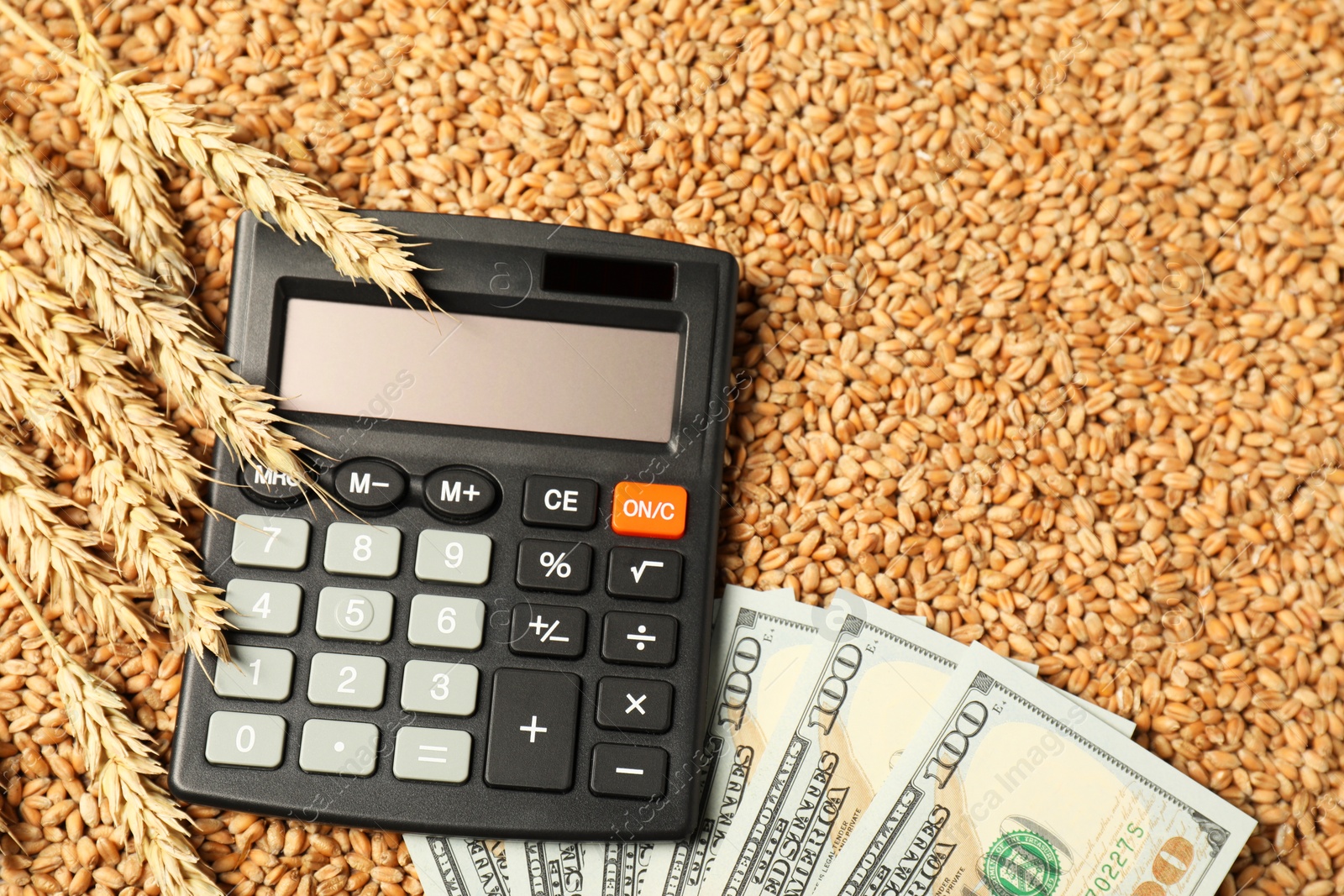 Photo of Dollar banknotes, calculator and wheat ears on grains, top view. Agricultural business