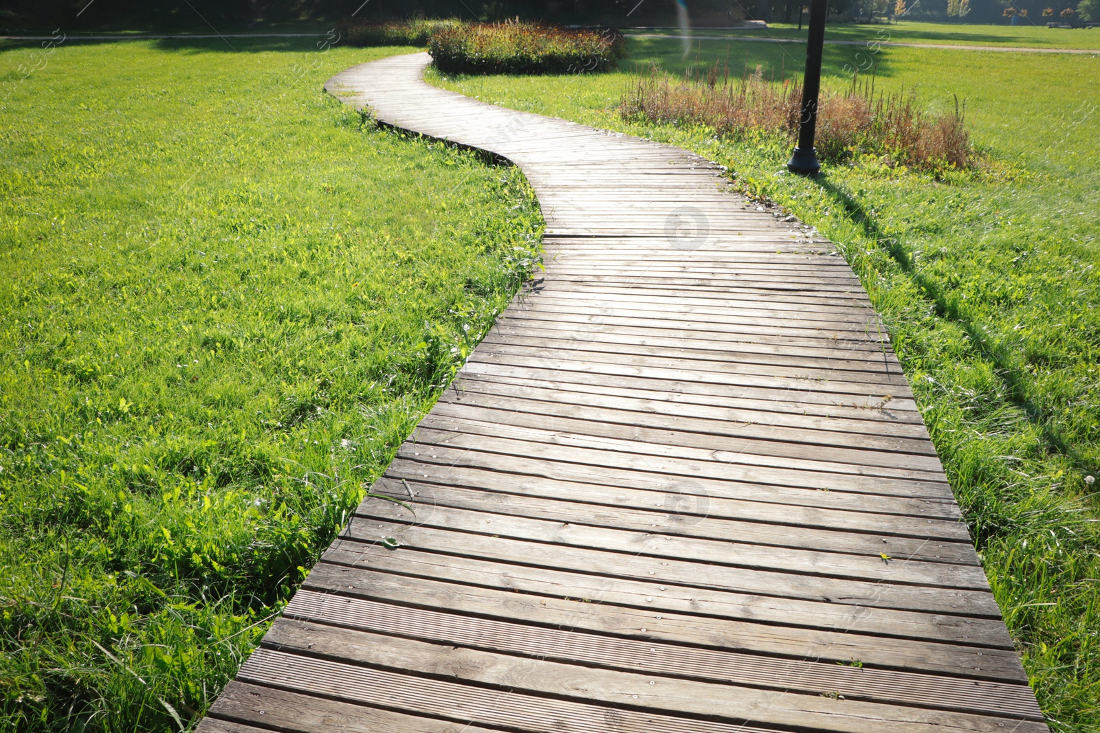 Photo of Pathway in beautiful public city park on sunny day