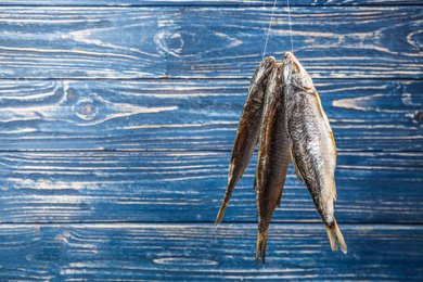 Photo of Dried fish hanging on rope against blue wooden background. Space for text
