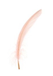 Photo of Beautiful delicate light pink feather isolated on white