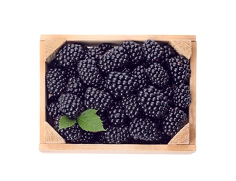 Wooden crate with fresh blackberries and leaves on white background