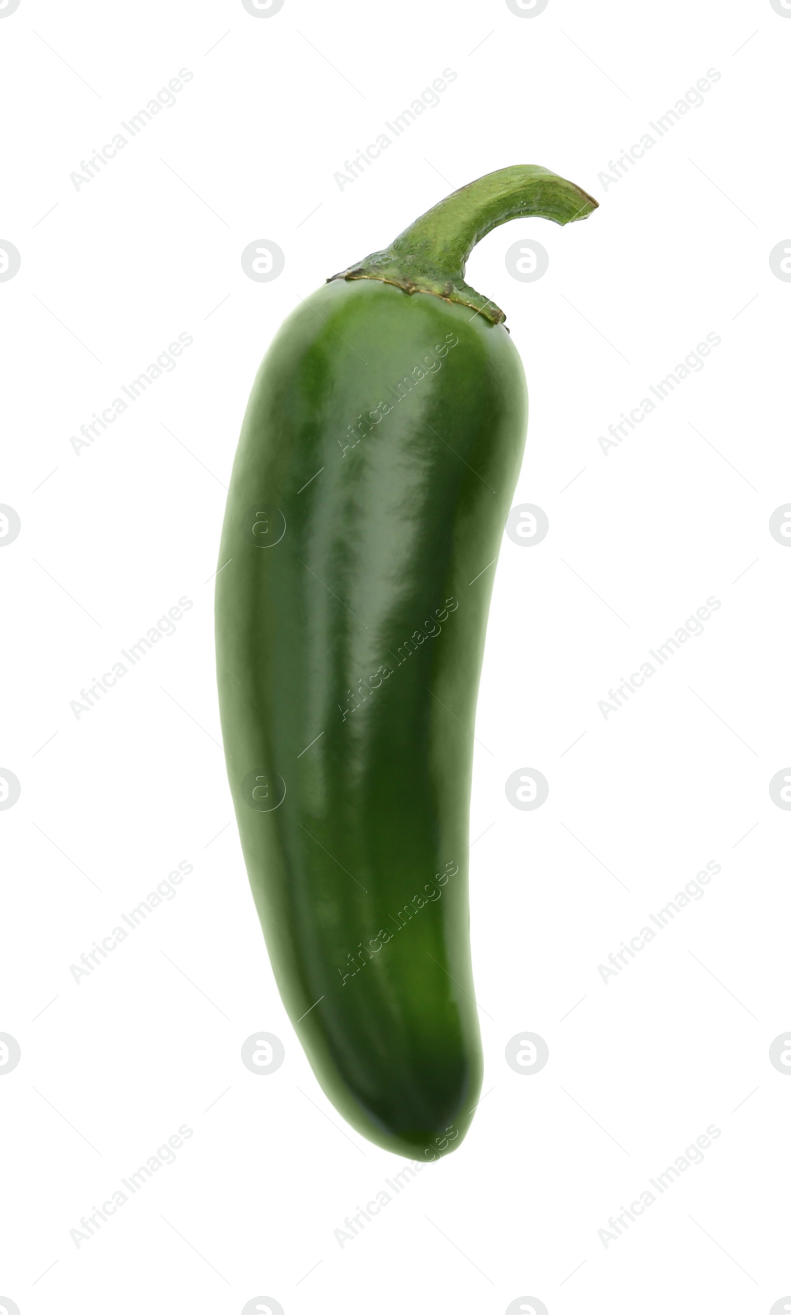 Photo of Green hot chili pepper isolated on white, top view