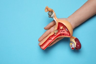 Photo of Woman holding model of female reproductive system on light blue background, top view. Space for text