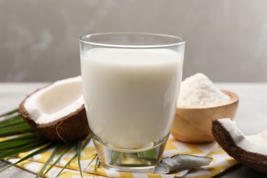 Photo of Glass of delicious coconut milk, flakes, palm leaf and coconuts on light grey table