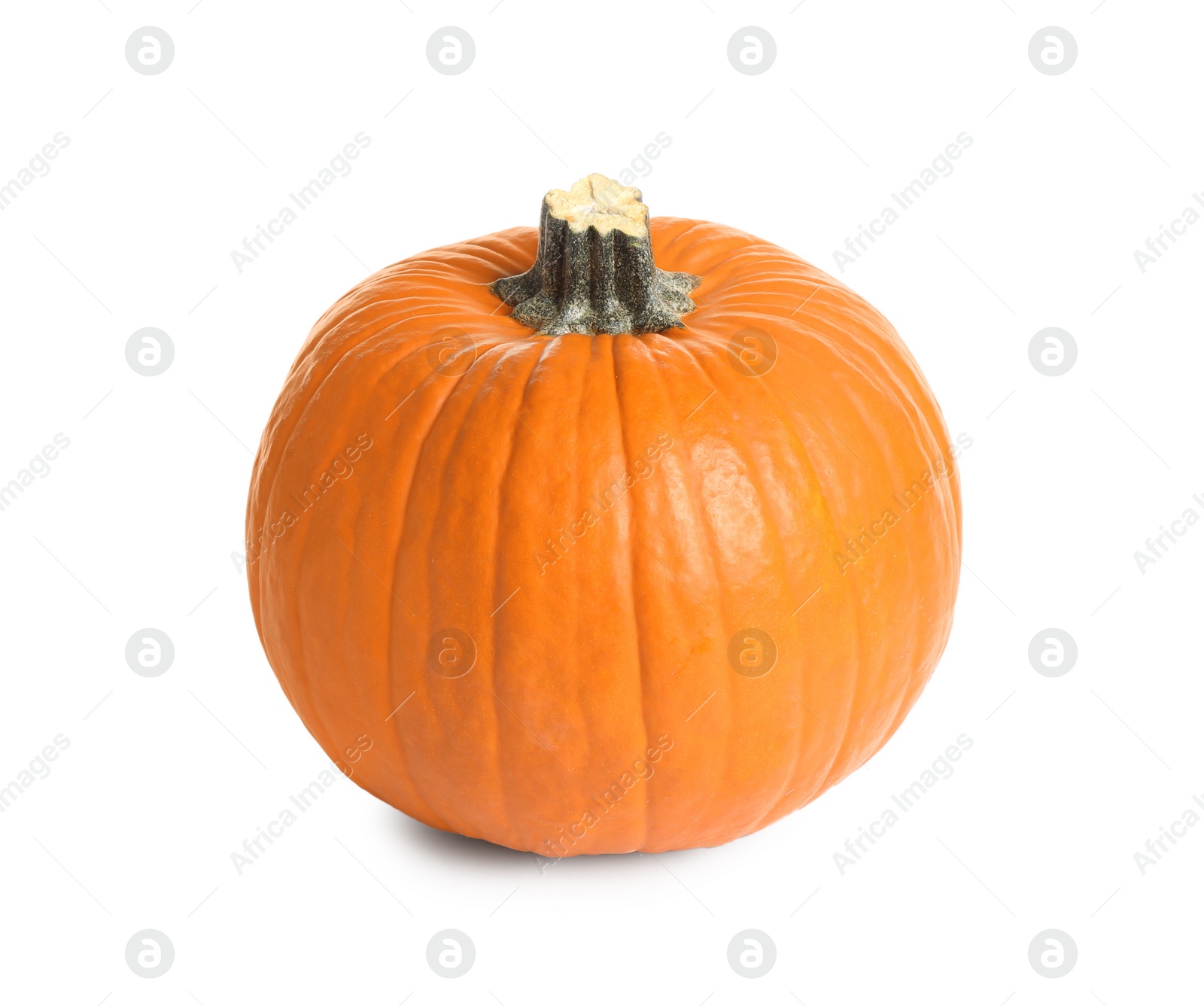 Photo of Fresh ripe pumpkin isolated on white. Organic plant