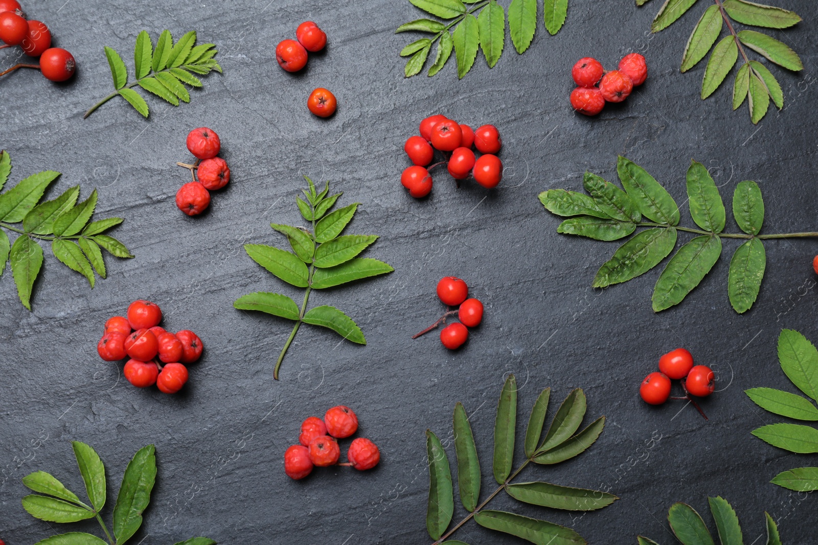 Photo of Fresh ripe rowan berries and green leaves on black table, flat lay