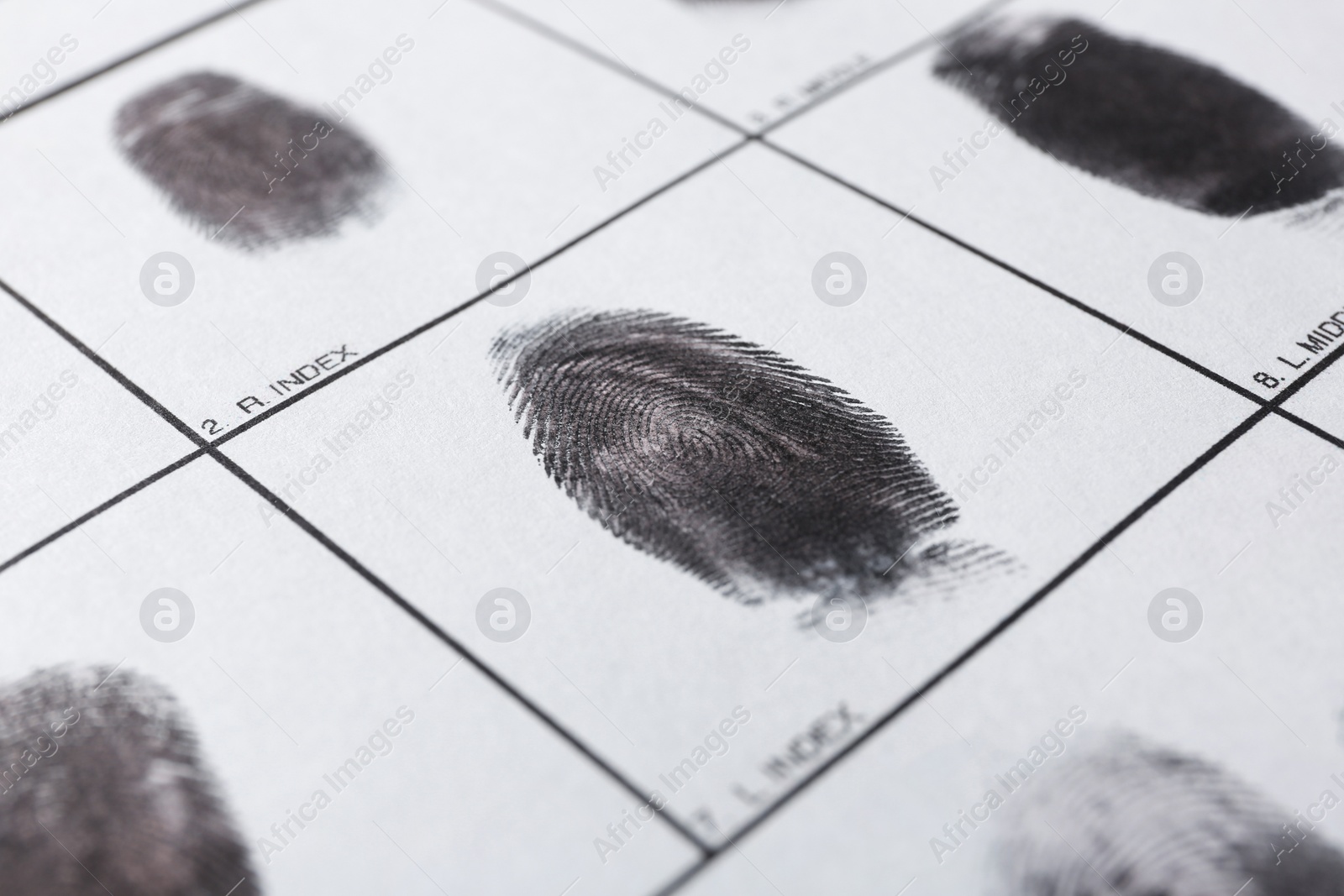 Photo of Police form with fingerprints, closeup. Forensic examination