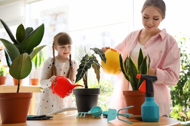 Mother and daughter taking care of home plants at table indoors