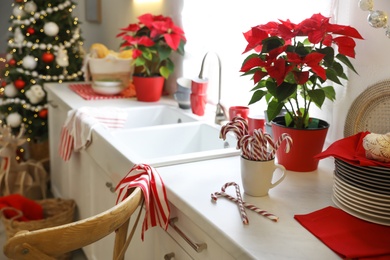 Photo of Kitchen counter with dishware and Christmas decor