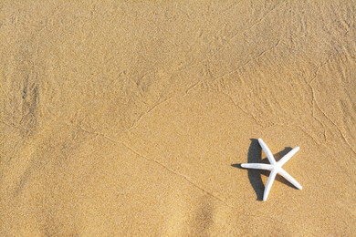 Photo of Beautiful starfish on sandy beach, top view. Space for text