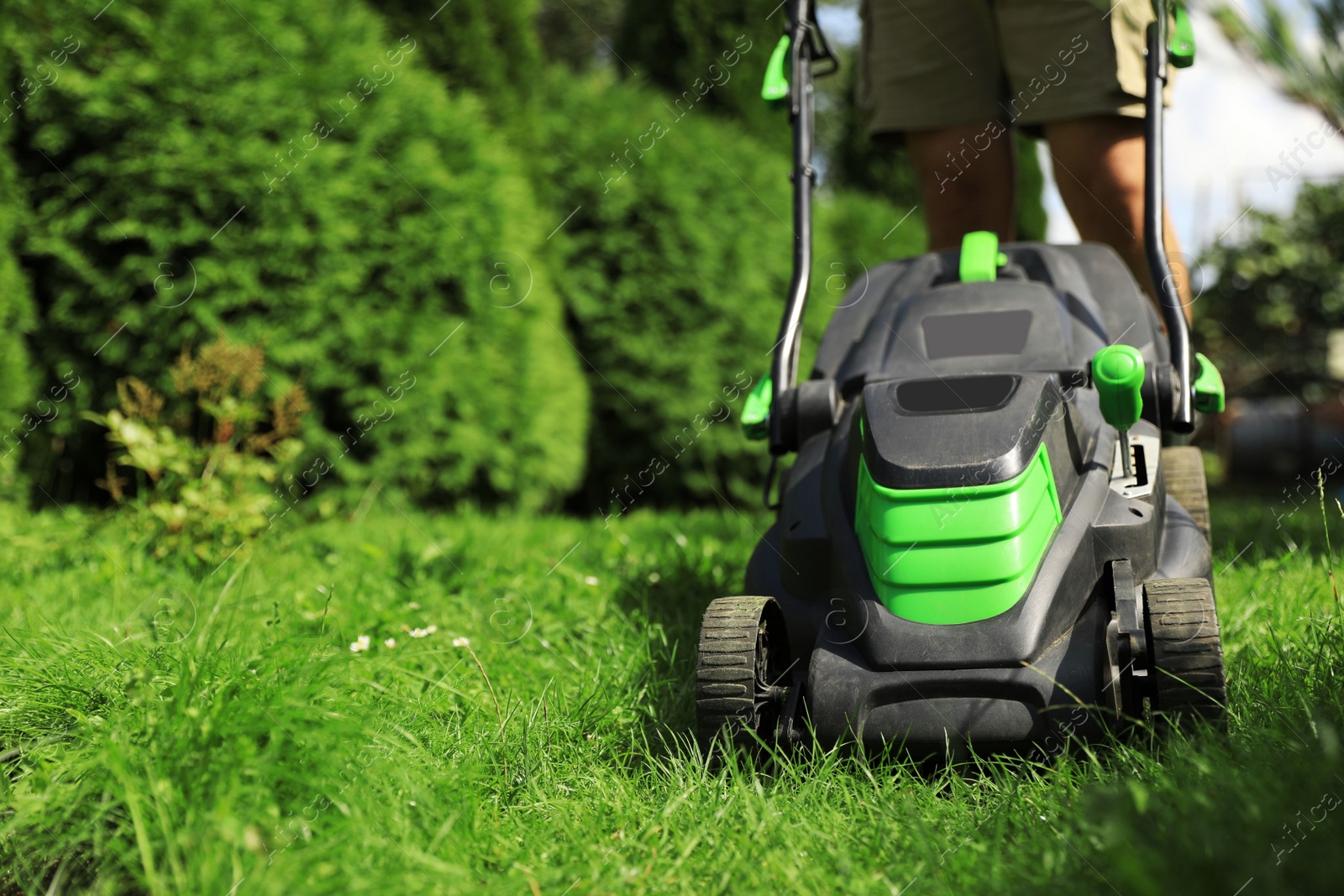 Photo of Man cutting grass with lawn mower in garden on sunny day, closeup