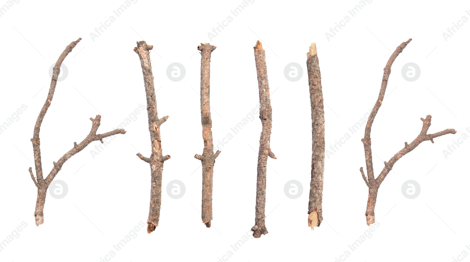 Image of Collage with dry tree twigs on white background, top view