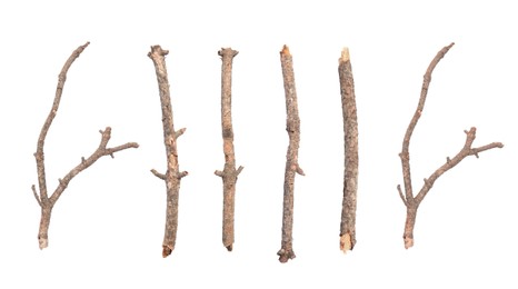 Image of Collage with dry tree twigs on white background, top view