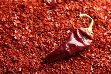 Photo of Crushed chili pepper and pod, closeup