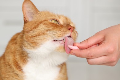 Woman giving vitamin pill to cute cat indoors, closeup