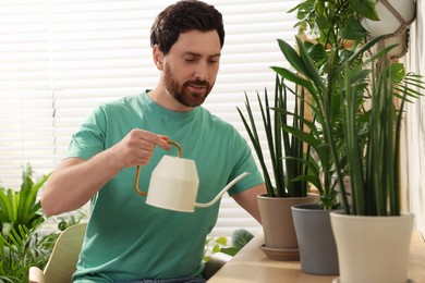 Man watering beautiful potted houseplants at home