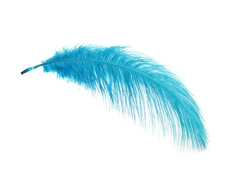 Beautiful delicate light blue feather isolated on white
