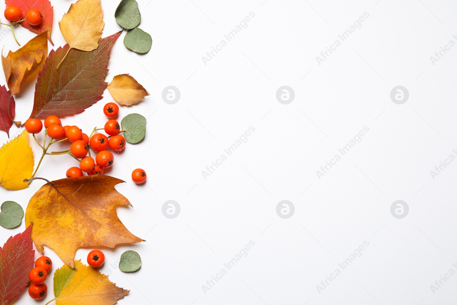 Photo of Flat lay composition with autumn leaves and space for text on white background