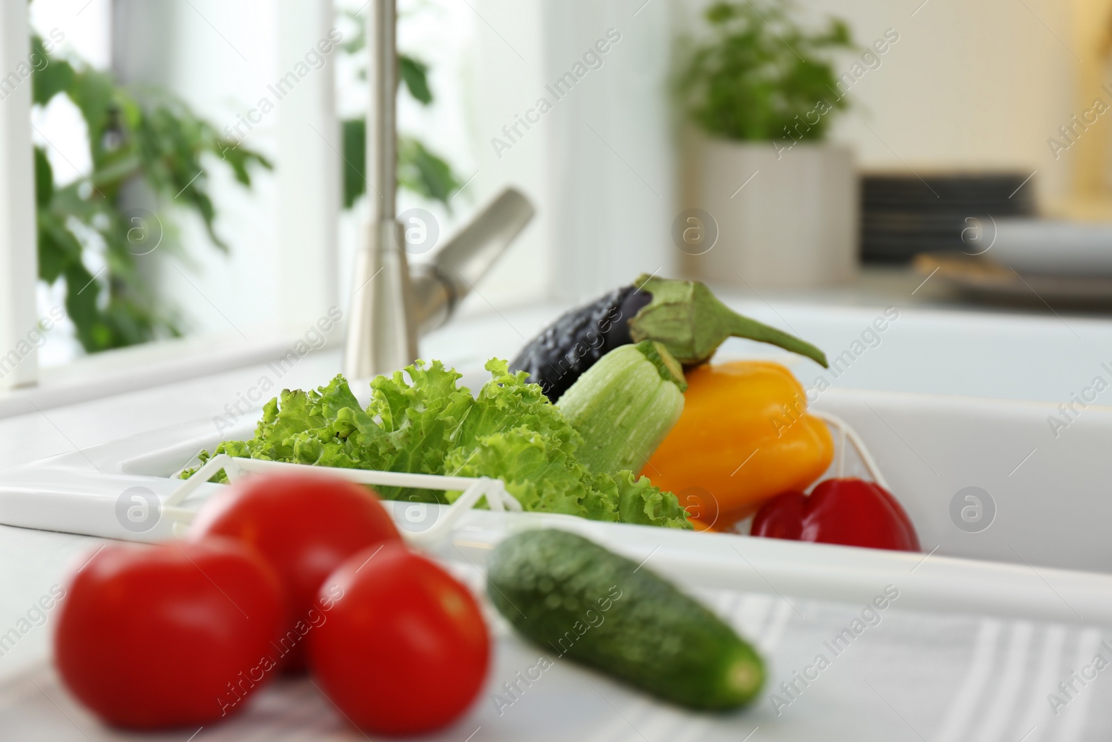 Photo of Many fresh ripe vegetables in kitchen sink, closeup