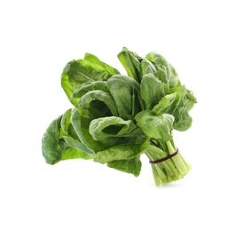 Photo of Bundle of fresh spinach isolated on white