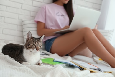 Young woman with cat working on laptop near window, closeup. Home office concept