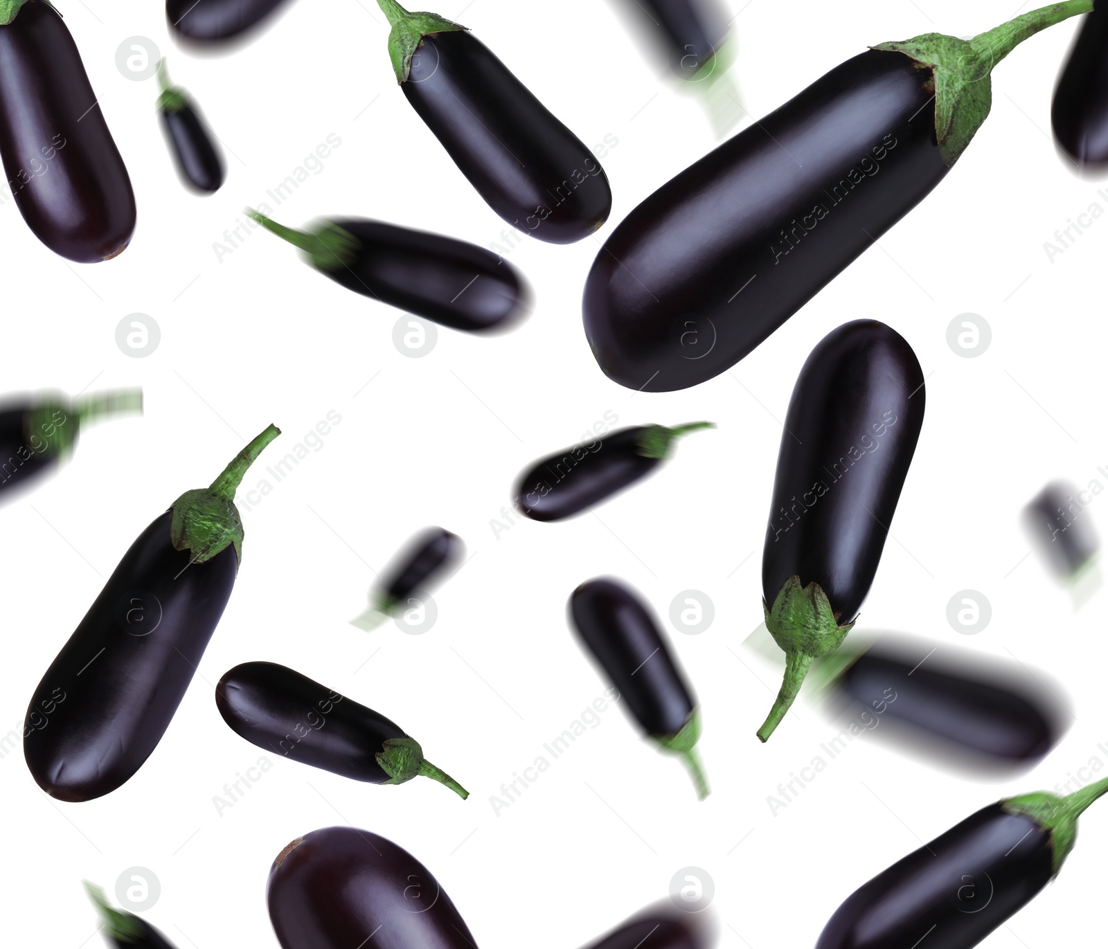 Image of Many fresh eggplants falling on white background