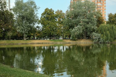 Quiet park with trees and lake on sunny day