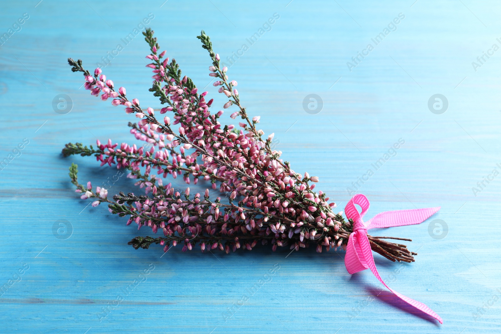 Photo of Bunch of heather branches with beautiful flowers and ribbon on light blue wooden table