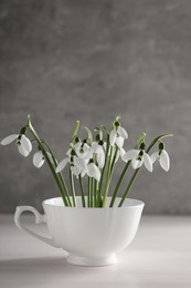 Beautiful snowdrop flowers in cup on white wooden table