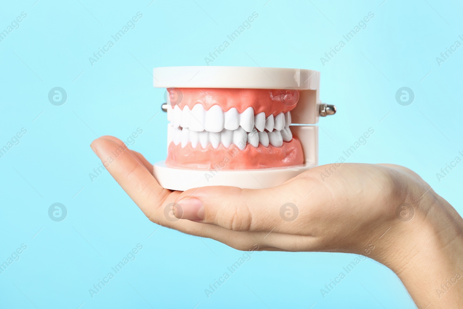 Photo of Woman holding educational model of oral cavity with teeth on color background