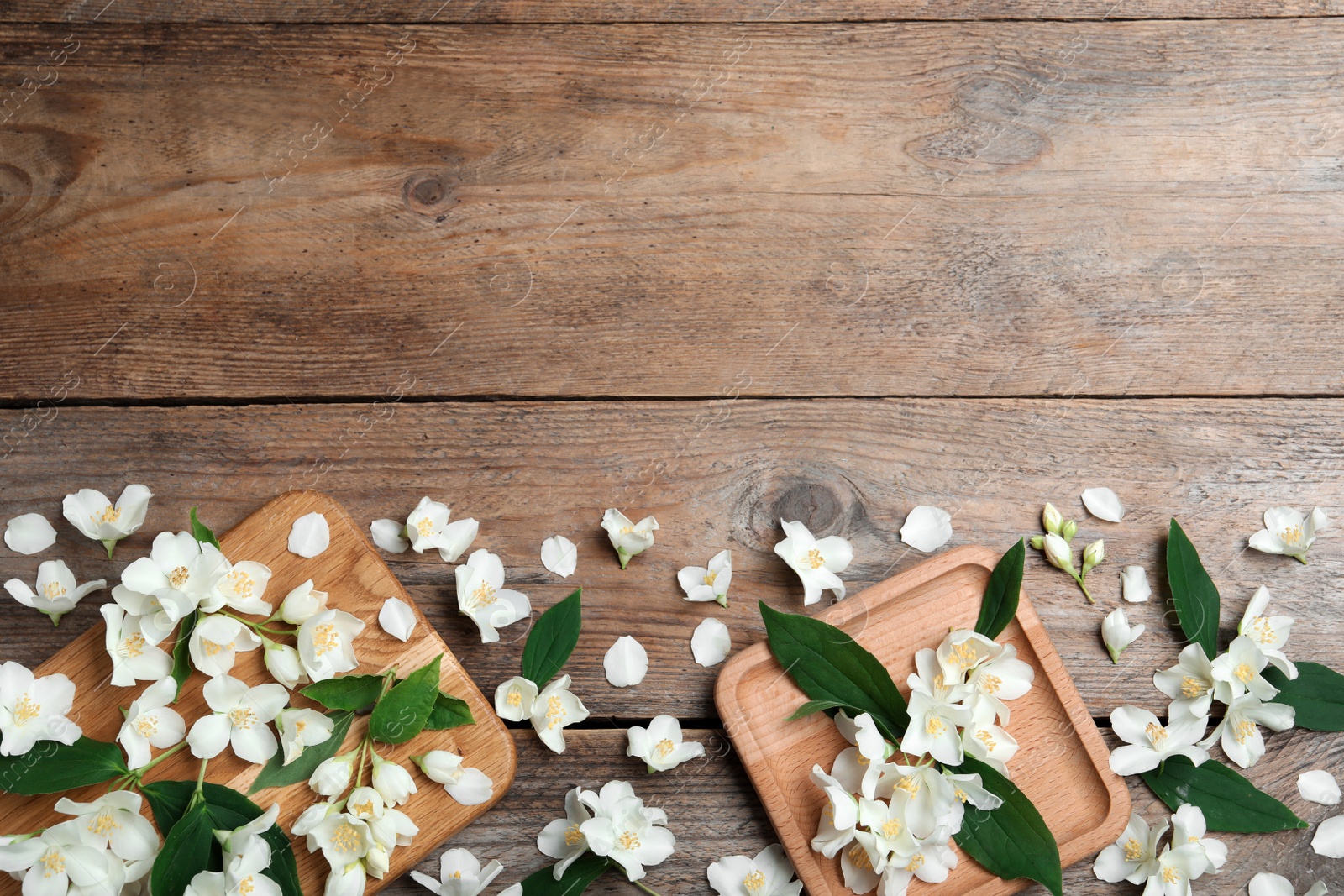 Photo of Flat lay composition with beautiful jasmine flowers on wooden background. Space for text