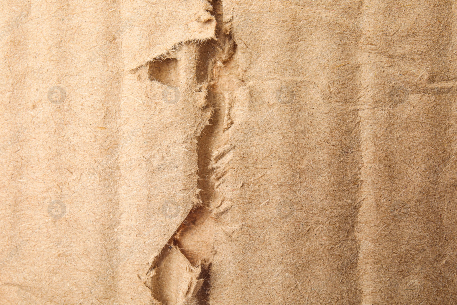 Photo of Torn sheet of cardboard as background, closeup