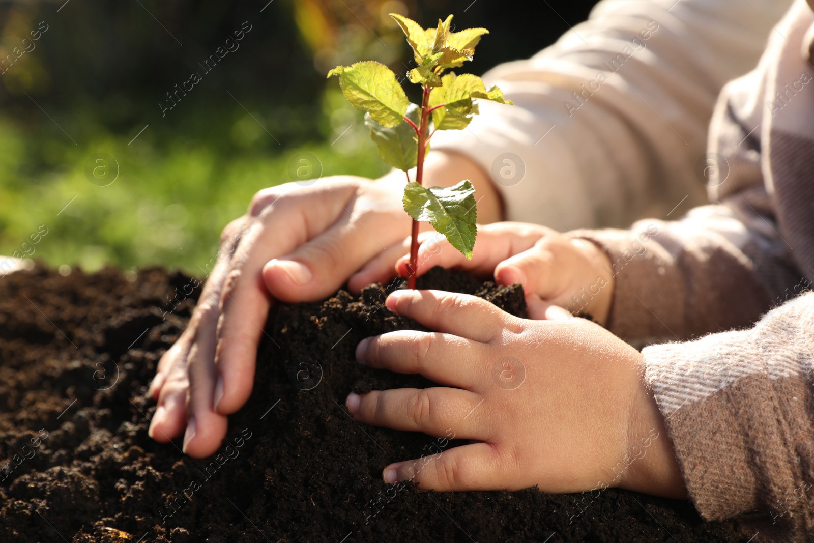 Photo of Mother and daughter planting young tree in garden, closeup