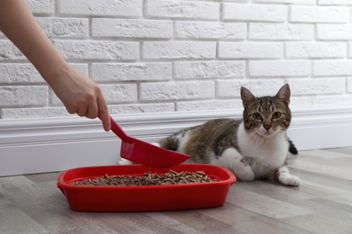 Photo of Woman cleaning cat litter tray at home, closeup