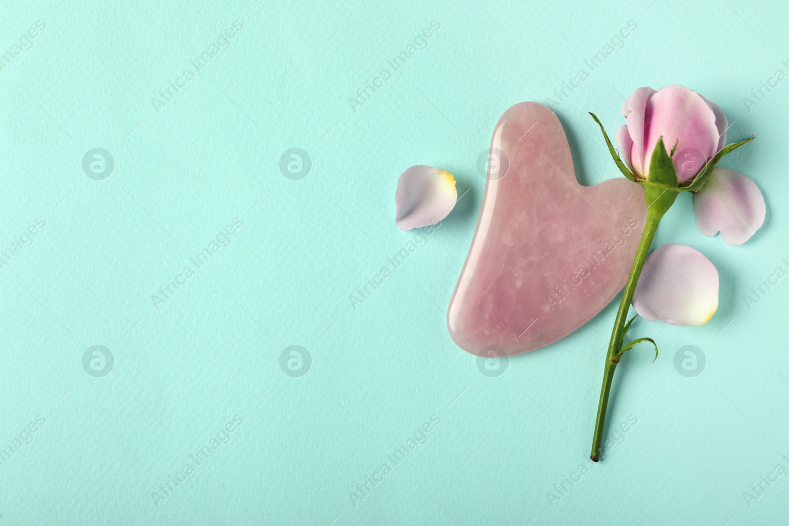 Photo of Rose quartz gua sha tool and flower on light blue background, flat lay. Space for text