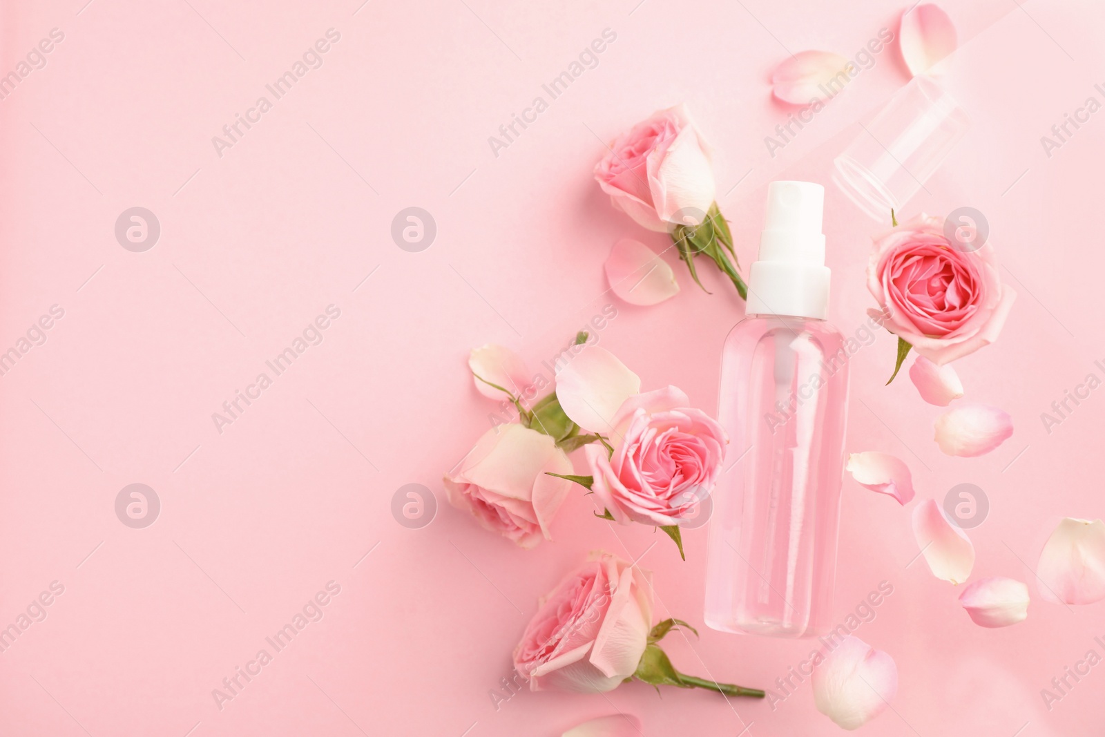 Photo of Flat lay composition with rose essential oil and flowers on pink background, space for text