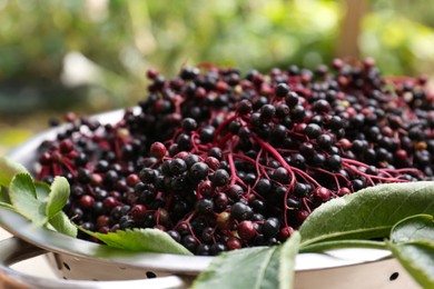 Photo of Pile of tasty elderberries (Sambucus) outdoors, closeup