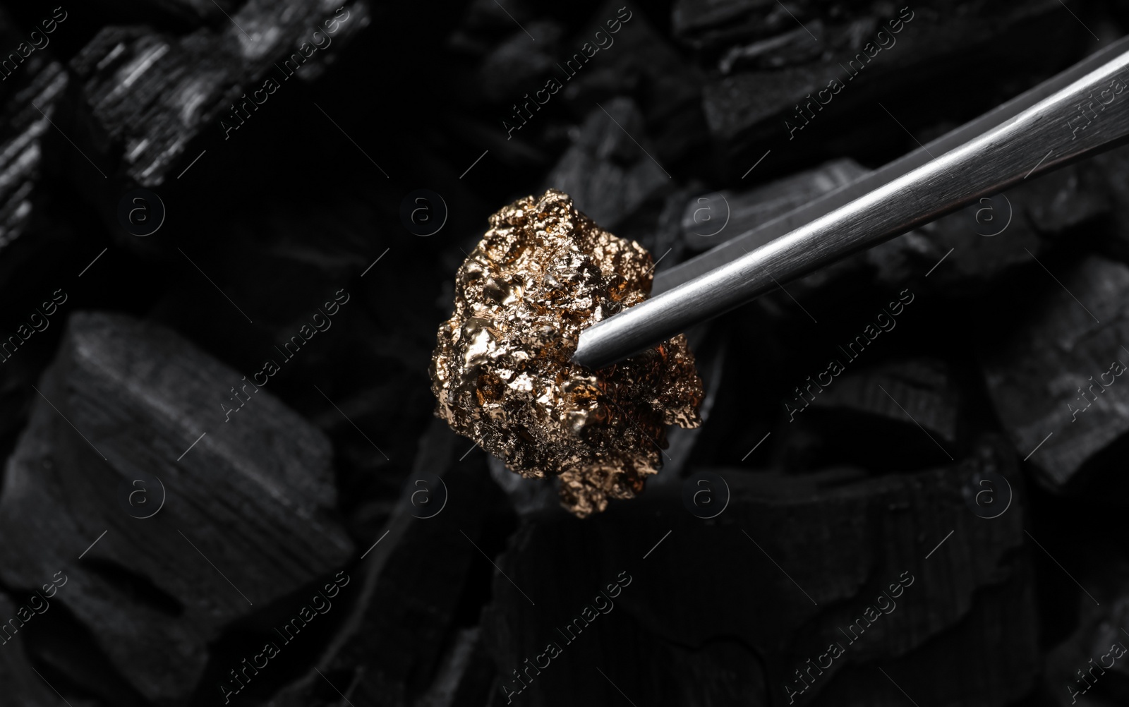 Photo of Tweezers with gold nugget above coals, closeup