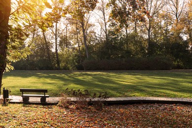 Photo of Picturesque view of park with beautiful trees, pathway and bench on sunny day. Autumn season
