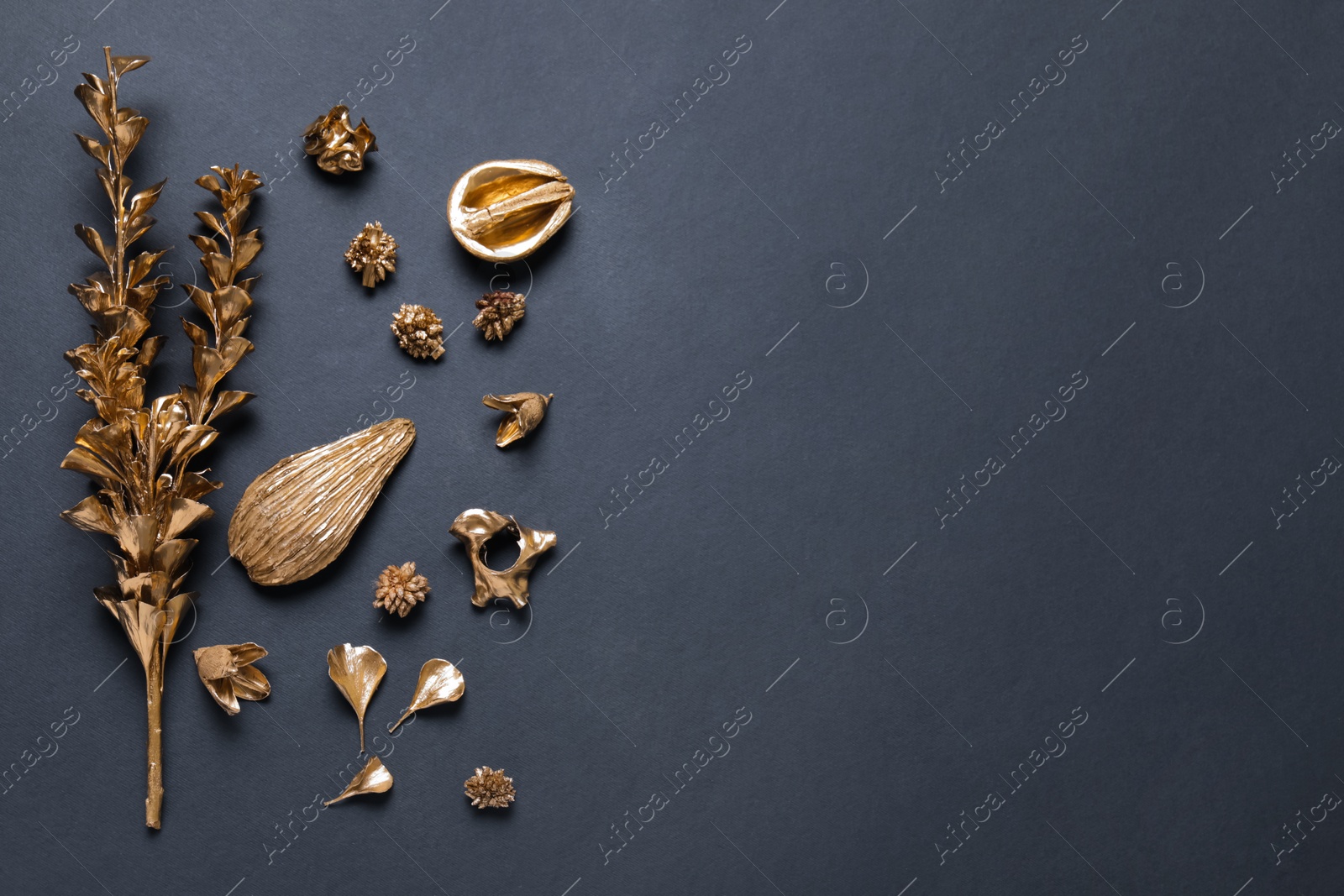 Photo of Flat lay composition with golden dried flowers on black background. Space for text