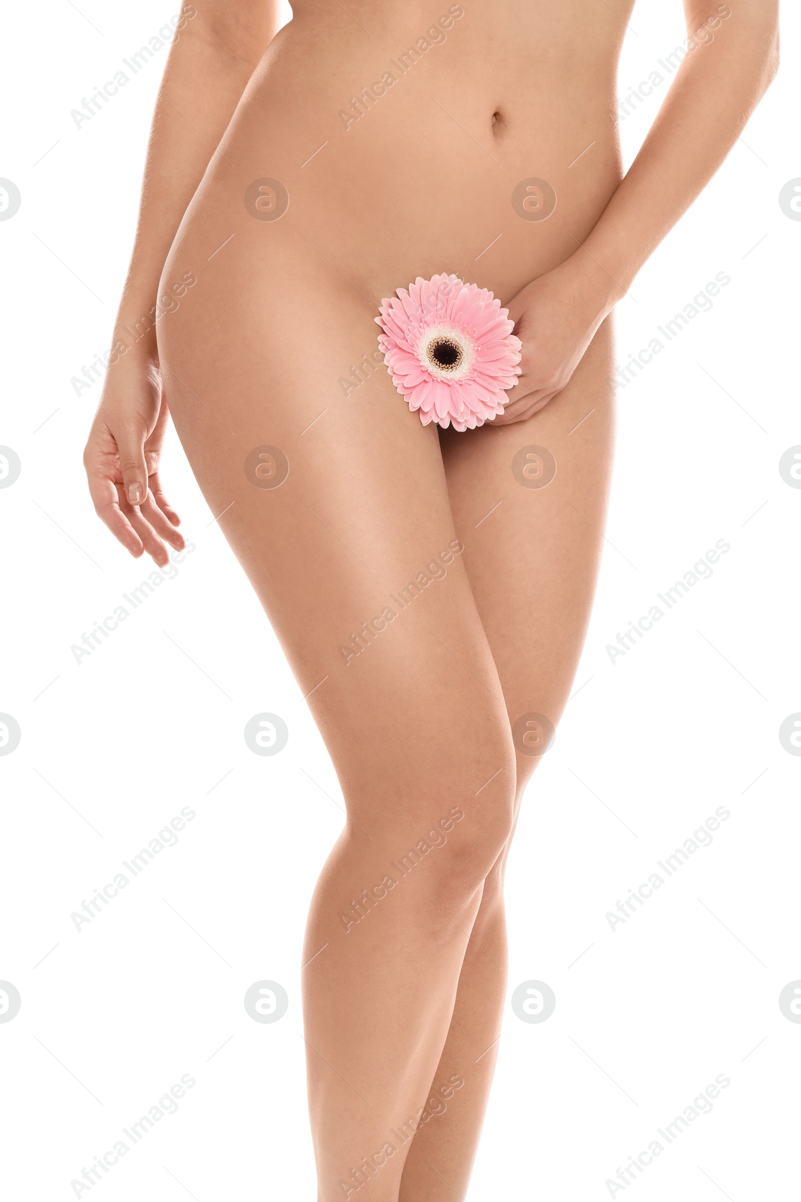 Photo of Woman with gerbera showing smooth skin on white background, closeup. Brazilian bikini epilation