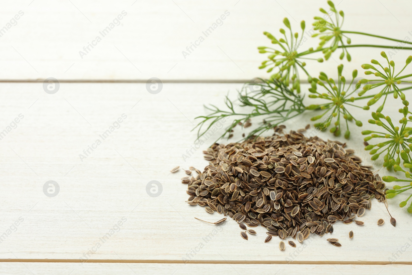 Photo of Dry seeds and fresh dill on white wooden table, space for text