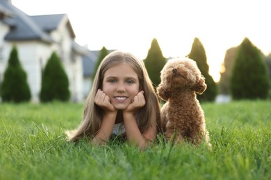 Photo of Beautiful girl with cute Maltipoo dog on green lawn in backyard