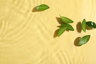 Green leaves in water on yellow background, flat lay. Space for text