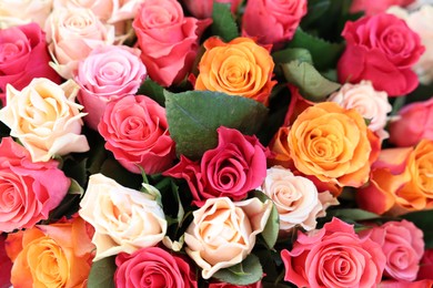 Bouquet of beautiful roses as background, top view