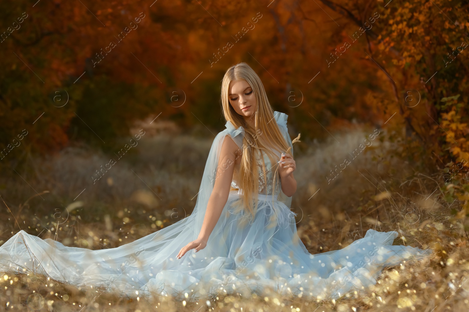 Photo of Beautiful girl wearing fairy dress in autumn forest